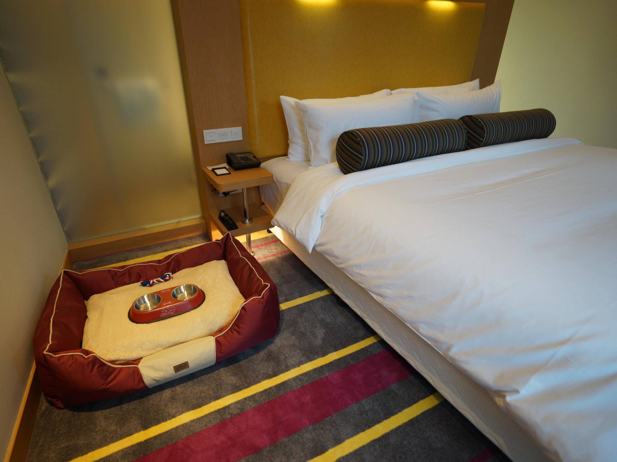 Hotel Aloft Dynamic Town Shenzhen Zewnętrze zdjęcie
